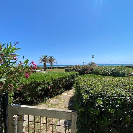 Les Pieds Dans L'Eau Lägenhet Canet-en-Roussillon Exteriör bild